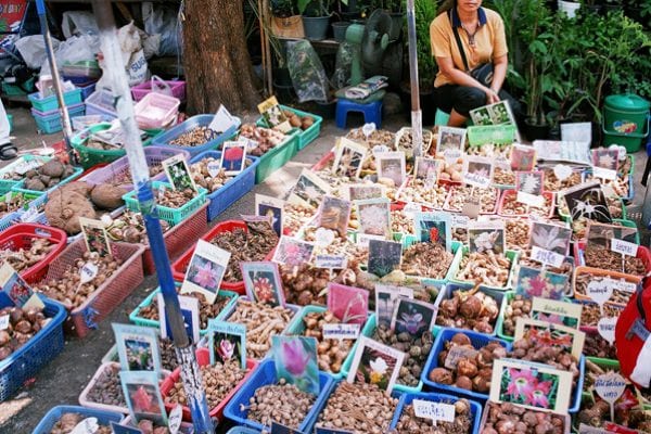 Chatuchak Market shopping during Bangkok golf tour