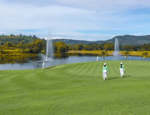 Exploring the Greens: A Guide to Selecting Your Ultimate Thailand Golf Tour
